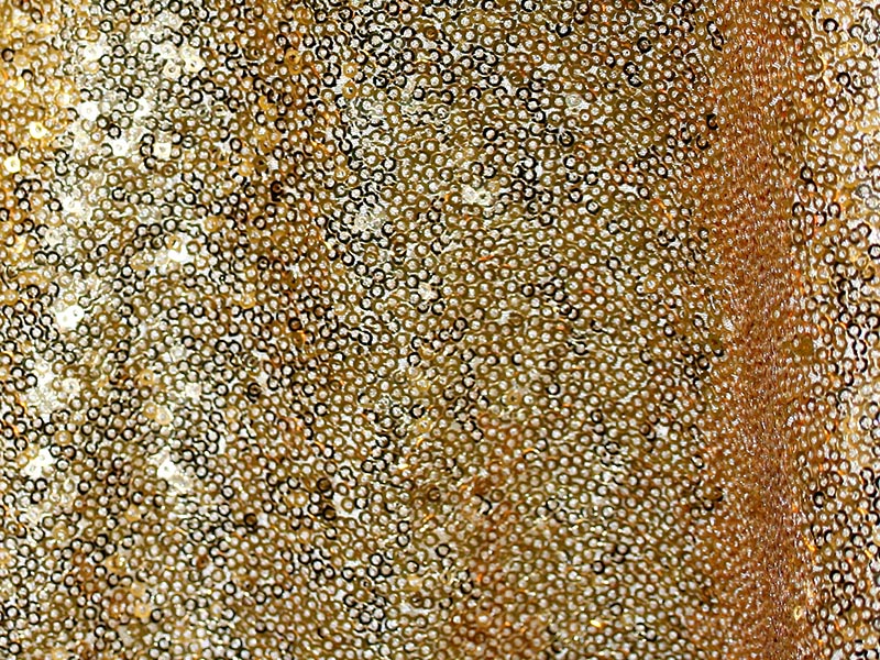 Gold Glimmer Sequins